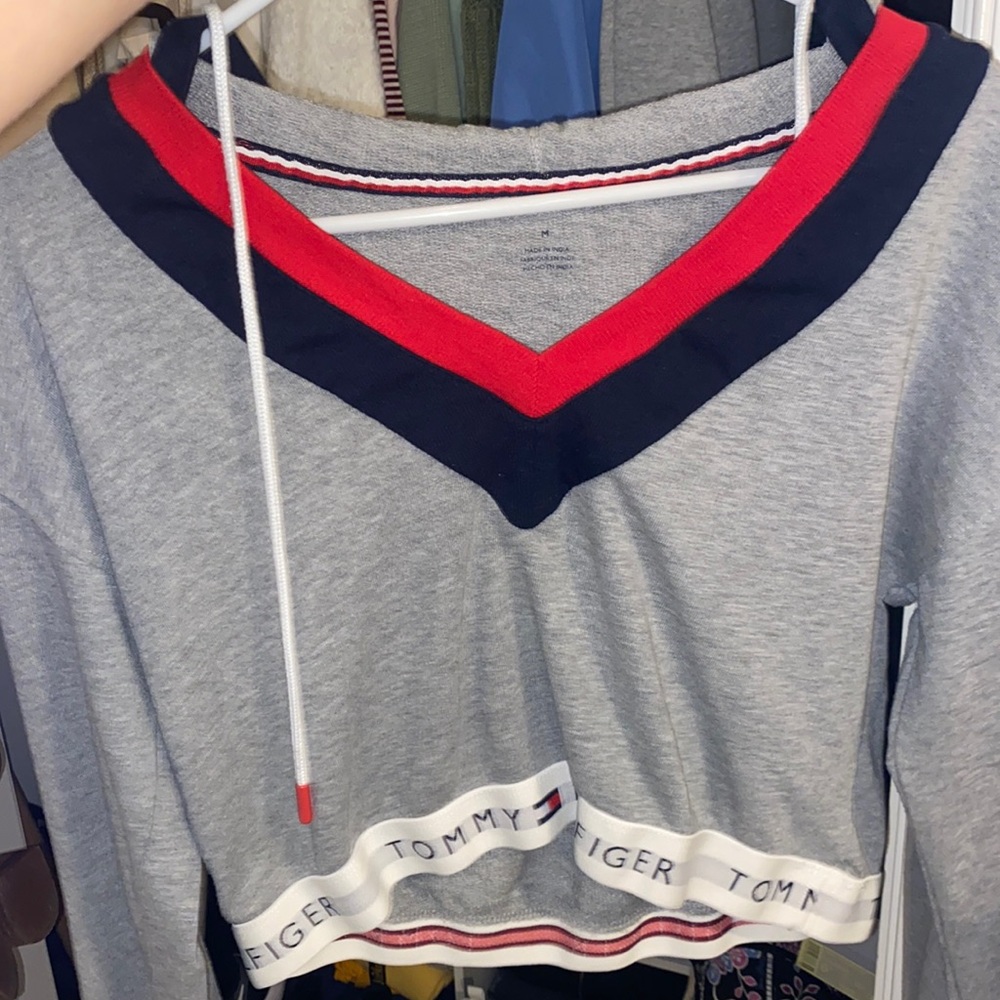 urban outfitters tommy hilfiger cropped hoodie